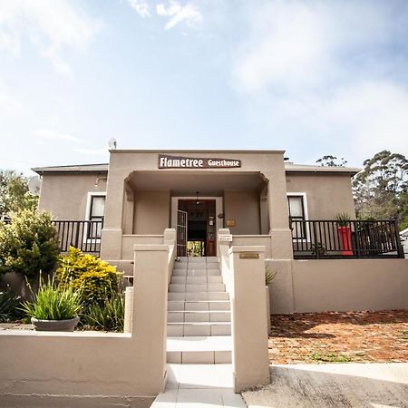 סוולנדאם Flametree Guesthouse מראה חיצוני תמונה
