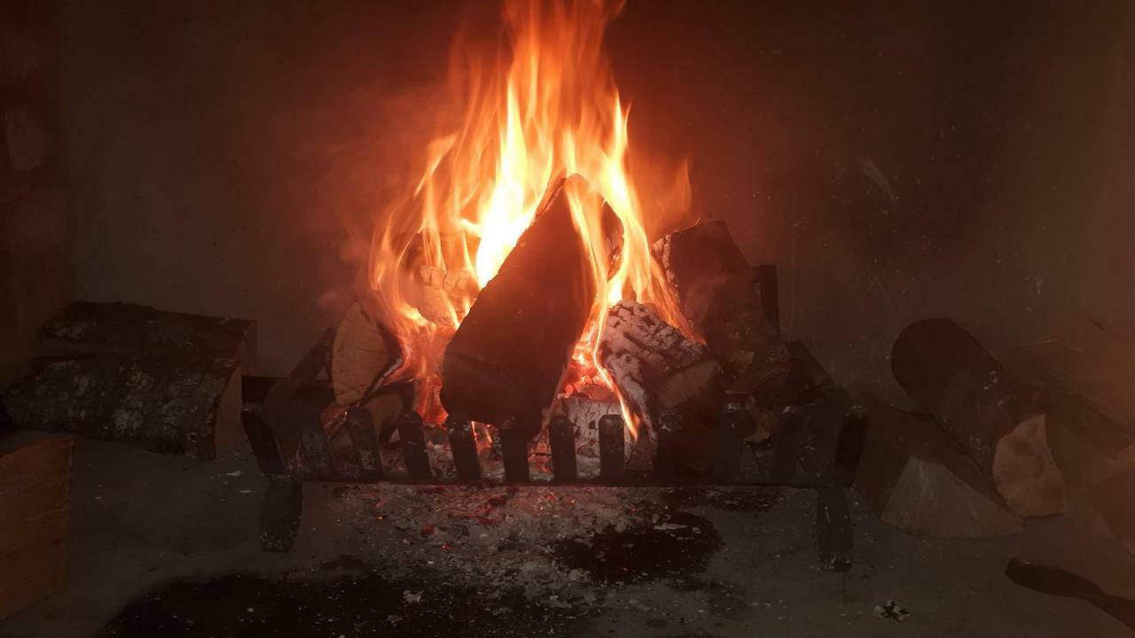 סוולנדאם Flametree Guesthouse מראה חיצוני תמונה
